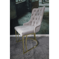 Stuhl Esszimmerstuhl ohne Armlehne +Samtstoff +Metallgestell