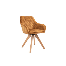 Stuhl Esszimmerstuhl +180°drehbar+Rückdrehfrunktion+Samtstoff + 2 Farben wählbar