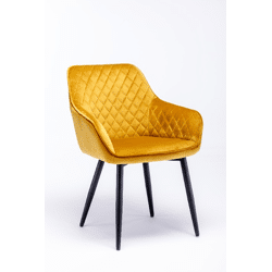 Stuhl Esszimmerstuhl Armlehnenstuhl +Samtstoff+Metallgestell