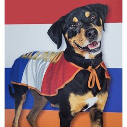 Haustierprodukte - Hundekostüme Holland Größe S und M