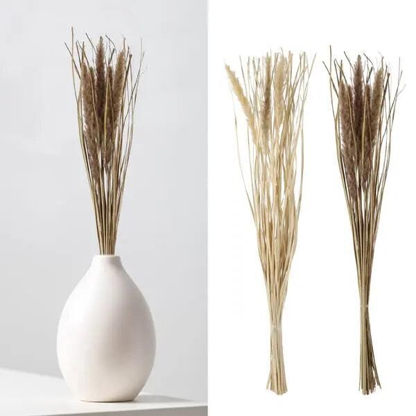 2er Set Foxtail Trockenblumen-Bunde - Langes Rustikales Dekor, ca. 85-90cm