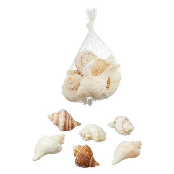 Gro&szlig;e Meeresfr&uuml;chte, Ca. 150g - Frischer Genuss aus dem Meer