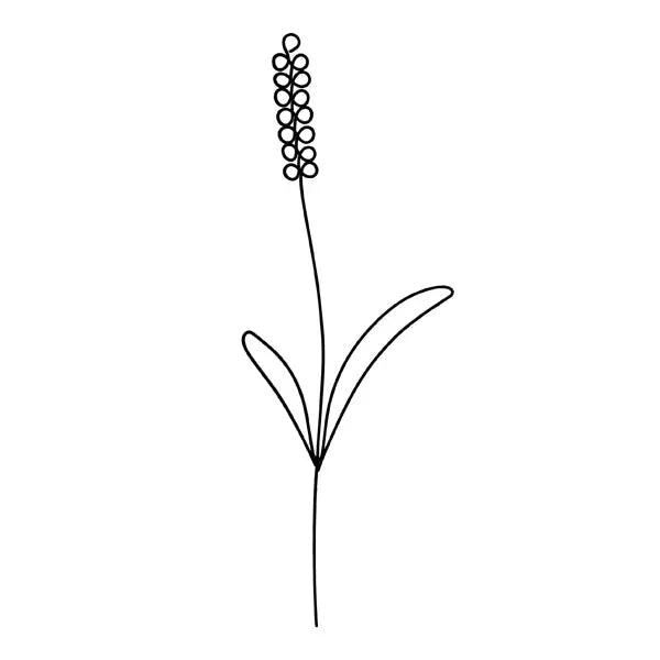 Kompakter Lavendel-Duftverteiler, Geradliniges Design, 22cm H&ouml;he
