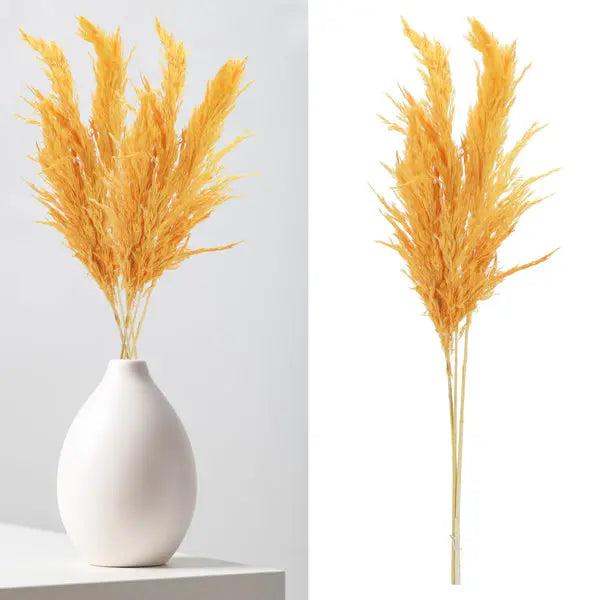 Leuchtend Orangefarbenes Pampasgras - 3er Set, L&auml;nge 90-100cm