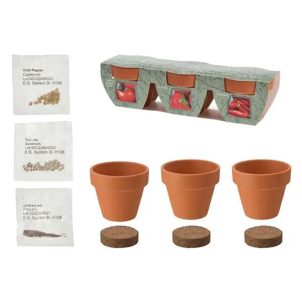 Mini-Tontopf Trio, ca. 5,5 cm &ndash; Kleine Deko-T&ouml;pfe | Rustikale Pflanzgef&auml;&szlig;e f&uuml;r Zimmerpflanzen