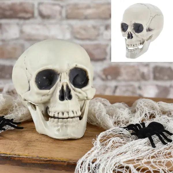 Realistische Sch&auml;del-Replik, Deko-Objekt, ca. 15x18cm