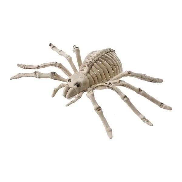 Skelett-Spinne, Halloween-Dekoration, ca. 25cm Breit