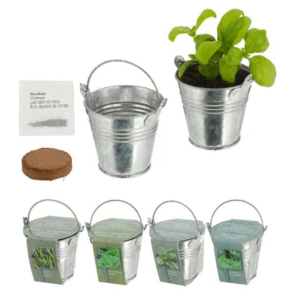 Zinkeimer Mini mit Kokosquellpad und Samen, Kr&auml;uter, 4er-Set &ndash; Kompakte Indoor-Kr&auml;utersets