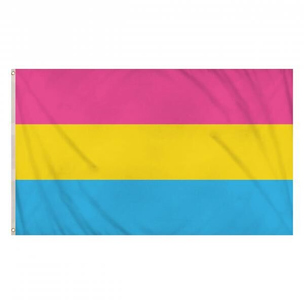 Pansexuelle Flagge 5 Fu&szlig; x 3 Fu&szlig; &ndash; gro&szlig;e, langlebige Pan-Pride-Flagge f&uuml;r Veranstaltungen und Sensibilisierung