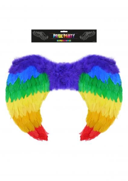 Rainbows Pride wings 60 x 40 cm - Colorful costume accessories
