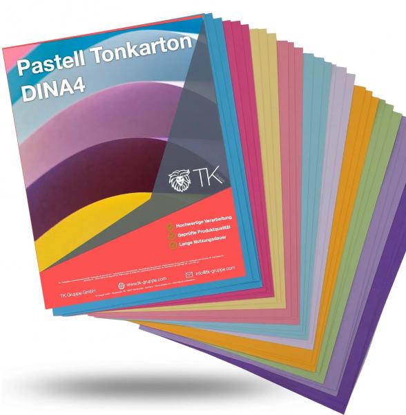 54 Blatt - Papier Pastell Pastellpapier Buntpapier 300 g/m² - A4 Kopierpapier Druckerpapier bunt - 54 Blatt - zum Basteln & gestalten - Ba