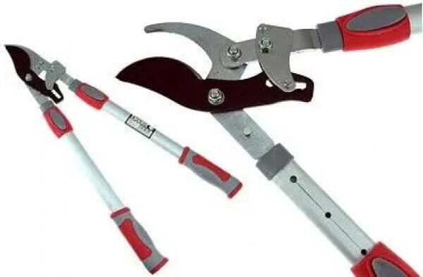 ASTSCHERE: Hochwertige Gartenwerkzeuge: Robuste Astschere f&uuml;r m&uuml;heloses Baumschnitt und Gartenschnitt