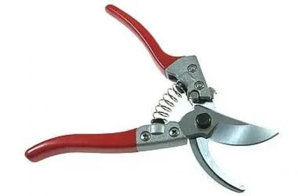 REBENSCHERE : Hochwertige Rebenschere - Pr&auml;zise Weinbergschere f&uuml;r optimale Rebenpflege