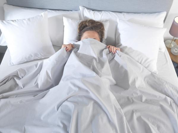 Renforcé bed sheet EX 200/250 cm