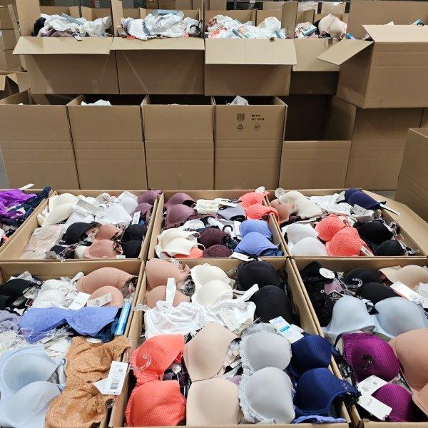 Underwear, Lingerie, Triumph, Felina, Sassa