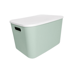 Aufbewahrungsbox mit Deckel 21l Serie Alythia Grün
