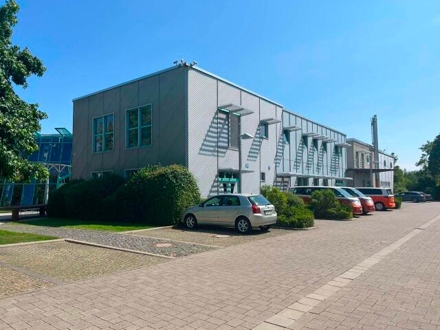 MIX-Damenkleider aus deutschen Katalogen – Frühling bis Winter, Größen 38–54, ab 2,90 €/Stück