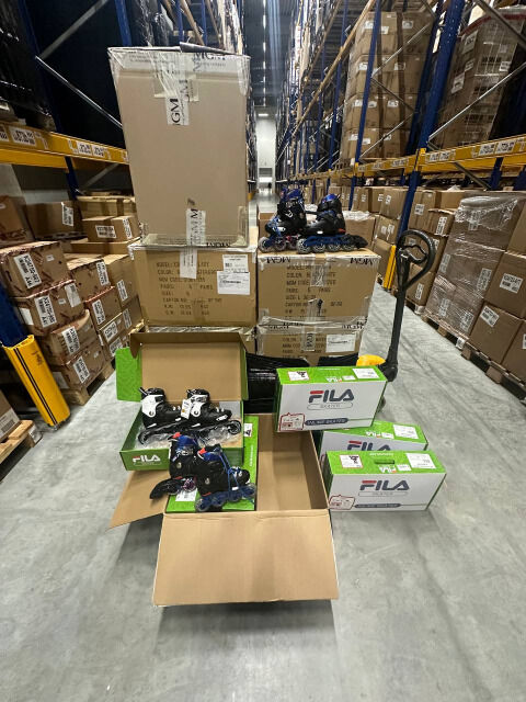 Fila - inline skates