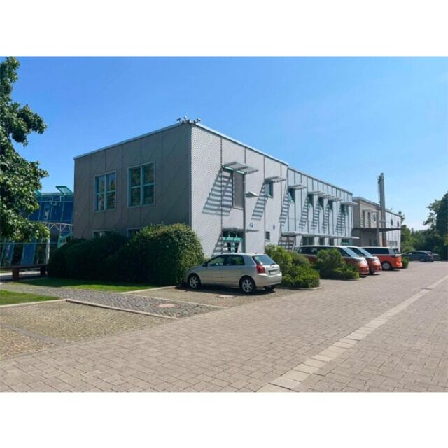 Mix-Posten: Neue Damen-T-Shirts mit 3/4-Ärmeln – 2 zum Preis von 1 | Direkt aus deutschen Katalogen | Sofort lieferbar