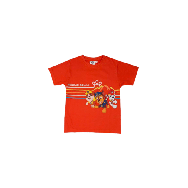 Lizenz Kinder Jungen Mädchen Oberteil T-Shirt Kurzarmshirts Freizeit Motivshirts Textil Restposten Mix