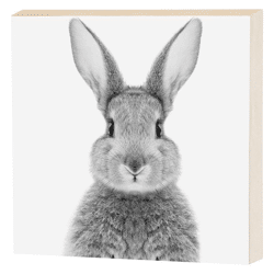 Bild zum Stellen, Hase, 15x15cm 