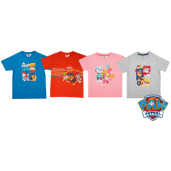 Lizenz Kinder Jungen Mädchen T-Shirt Oberteil Freizeit Kurzarmshirt Kids Bekleidung Motiv Textil Restposten Mix