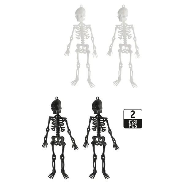 Anatomisches Skelett 2er-Set - Detaillierte Lehrmodelle