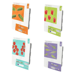 Blumiger Mini-Tontopf im Display, 5/s – Stilvolles Blumentopf-Set | Moderne Mini-Tontöpfe