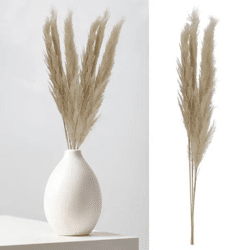 Cremiges Federgras, 3er-Paket, ca. 140-160cm L - Elegante Dekoration für Zuhause