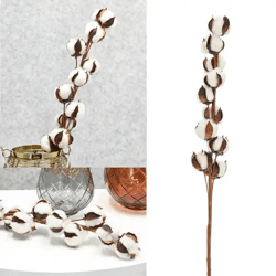 Edler Baumwollzweig mit 10 Blütenköpfen, ca. 68 cm - Dekorativer Naturzweig