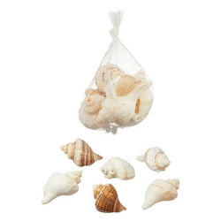 Große Meeresfrüchte, Ca. 150g - Frischer Genuss aus dem Meer