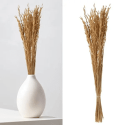 Hafer Avena Trockenblumen-Bund - Natürliches Hochdekor, ca. 85-90cm