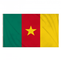 Cameroon flag 5 feet x 3 feet - national flag, large size, suitable for indoors and outdoors