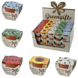 Mini-Tontopf Kräuter im Display, 4/s – Moderne Mini-Kräutertöpfe | Stilvolles Kräutertopf-Set