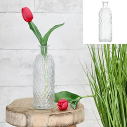 Mittlere Klare Glasvase, 20cm Hoch, Eleganter Transparenter Blumenhalter