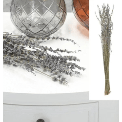 Natürlicher Lavendelzweig, 45-55 cm - Aromatischer Dekorzweig