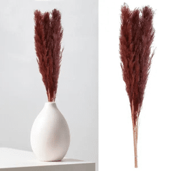 Natürliches Braunes Pampasgras - Dekoratives Set, 3 Stiele, 100-115cm