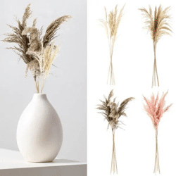 Pampas Stiele, Design 2, 4er-Pack, Bündel von 6, ca. 65-75cmL