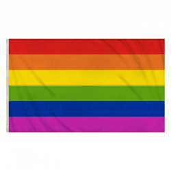 Pride Flag 3Ft X 2Ft – Nachhaltige LGBTQ+ Regenbogenflagge für drinnen und draußen