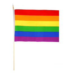 Pride Nylon-Handflagge mit Holzstab 45 x 30 cm – nachhaltige LGBTQ+-Regenbogenflagge für Paraden