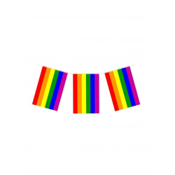 Pride PVC-Flagge Schlange 10 m – 20 langlebige Flaggen 20 cm x 31 cm für Festivals und LGBTQ+-Events