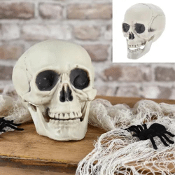 Realistische Schädel-Replik, Deko-Objekt, ca. 15x18cm