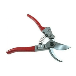 REBENSCHERE : Hochwertige Rebenschere - Präzise Weinbergschere für optimale Rebenpflege