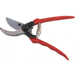 REBENSCHERE : Hochwertige Weinberg Schere - Rebenschere für präzise Rebenpflege