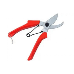 REBENSCHERE : Hochwertige Weinbergschere - Präzise Rebschere für die professionelle Weinrebenpflege