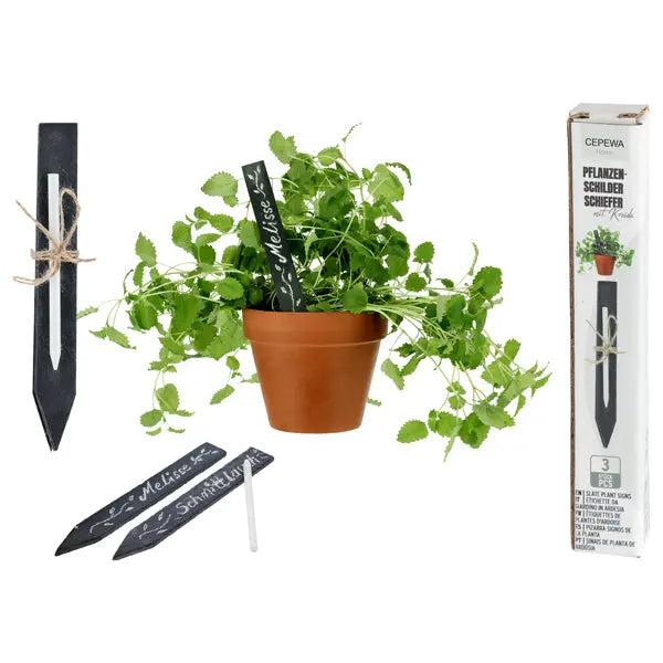 Schiefer Pflanzenstecker, 3er-Pack, Ma&szlig;e ca. 2x15cm