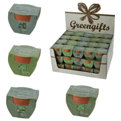 Schild Holz Maritim, 42x21cm – Stilvolles Holzschild | Moderner Maritimer Deko-Schild