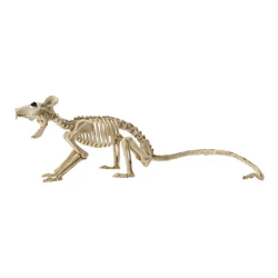 Skelett-Ratte, Gruselige Dekofigur, ca. 40cm Lang