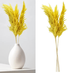 Sun-yellow pampas grass set - 3 stems, 90-100cm length
