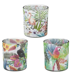 Tropisches Windlicht-Set, 3 Stück, Höhe ca. 8 cm – Exotische Dekoleuchten